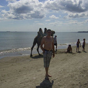 ���������� �������, ���� ������� Stefan, 40 ���, ������������ ��� ������, ����� � ���������, c�������� ���������, ���������