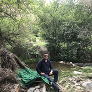 ���������� ���������, ���� ������� Aziz, 40 ���, ������������ ��� ������, ����� � ���������, c�������� ���������