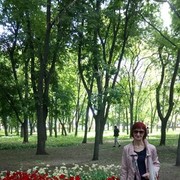 ,   , 54 ,  