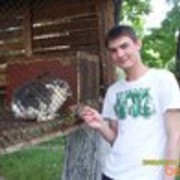 ���������� ����������, ���� ������� �����, 37 ���, ������������ ��� ����� � ���������, c�������� ���������