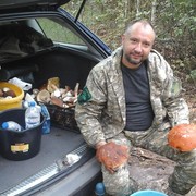 ���������� ����, ���� ������� ������, 48 ���, ������������ ��� ������, ����� � ���������, c�������� ���������