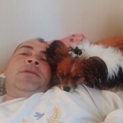 ���������� �������, ���� ������� ������, 44 ����, ������������ ��� ������, ����� � ���������, c�������� ���������