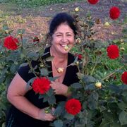 ���������� �������, ���� ������� ������, 70 ���, ������������ ��� c�������� ���������, ���������