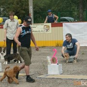 ���������� ������, ���� ������� LLL, 45 ���, ������������ ��� ������, ����� � ���������, c�������� ���������