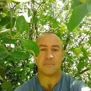  ,   , 61 ,   ,   