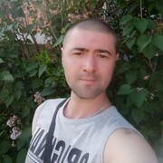  -,  , 41