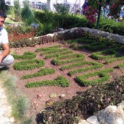  ,   , 37 ,  