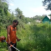  ,   Temur, 31 ,   c 
