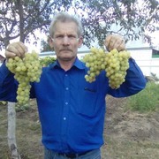  ,   , 61 ,  