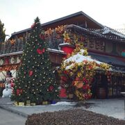 ���������� �����������, Loya