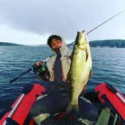 ���������� ���������, ���� ������� ����, 40 ���, ������������ ��� ������, c�������� ���������