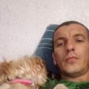  ,   Tema, 37 ,   ,   