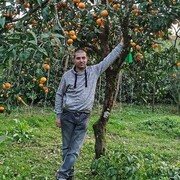  ,   , 38 ,   ,   , c 