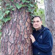 ���������� �������, ���� ������� �������, 46 ���, ������������ ��� ����� � ���������, c�������� ���������