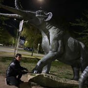 ���������� ��������, ���� ������� ������, 26 ���, ������������ ��� ������, ����� � ���������, ���������