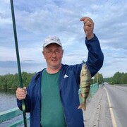 ���������� ������������, ���� ������� ������, 55 ���, ������������ ��� c�������� ���������