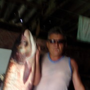  ,   , 53 ,   