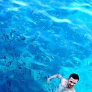 ���������� ���������, ���� ������� �������, 37 ���, ������������ ��� ������, ����� � ���������, ���������