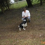 ���������� �����, ���� ������� ���������, 33 ����, ������������ ��� ������, ����� � ���������, c�������� ���������