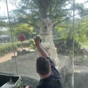 ���������� ������, ���� ������� �����, 31 ���, ������������ ��� ������, ����� � ���������, c�������� ���������