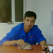  ,  maksim, 36