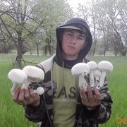  ,   , 31 ,  