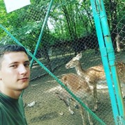  ,   , 31 ,   ,   , c 
