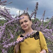 ���������� ����, ���� ������� �����, 64 ����, ������������ ��� ����� � ���������, ���������