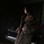 ���������� �����-���������, ���� ������� ���, 33 ����, ������������ ��� ����� � ���������, c�������� ���������