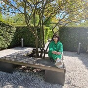 ���������� ������, ���� ������� ������, 42 ����, ������������ ��� ����� � ���������, c�������� ���������