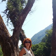  ,   , 51 ,   ,   , 
