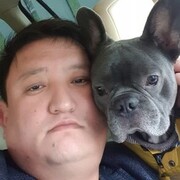  ,   , 43 ,   ,   