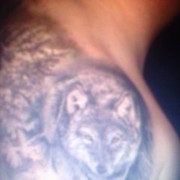 ���������� ������, ���� ������� ���������, 38 ���, ������������ ��� ������, ����� � ���������, c�������� ���������