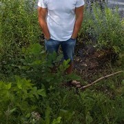  ,   , 37 ,   ,   , c 