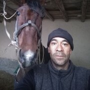  ,   , 50 ,   ,   