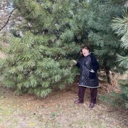 ���������� �����������, ���� ������� �����, 61 ���, ������������ ��� ������, ����� � ���������, c�������� ���������, ���������