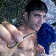  ,   Arsen, 42 ,   