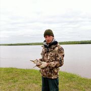 ���������� ������, ���� ������� ������, 37 ���, ������������ ��� ������, ����� � ���������, c�������� ���������