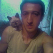 ���������� ������, ���� ������� Aiko, 44 ����, ������������ ��� ������, ����� � ���������, c�������� ���������