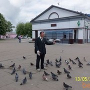  ,   , 50 ,   