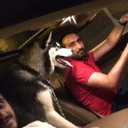 ���������� ��������, ���� ������� Ed, 38 ���, ������������ ��� ������, ����� � ���������