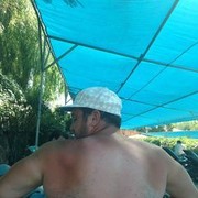  ,   Wild, 77 ,   