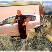 ���������� ���������, ���� ������� 89285185106, 36 ���, ������������ ��� ������, ����� � ���������, c�������� ���������