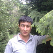  -,   ULIK, 41 ,   