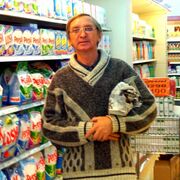 ���������� �������, ���� ������� �������, 72 ����, ������������ ��� ������