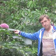  -,   , 61 ,   ,   , c , 