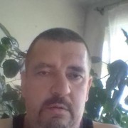 ���������� ������������, ���� ������� �������, 48 ���, ������������ ��� ������, ����� � ���������, c�������� ���������