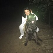 ���������� ������, ���� ������� �����, 47 ���, ������������ ��� ������, ����� � ���������, c�������� ���������