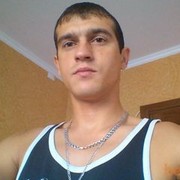  -,   , 41 ,   