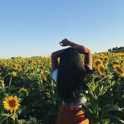 ���������� �����, �����